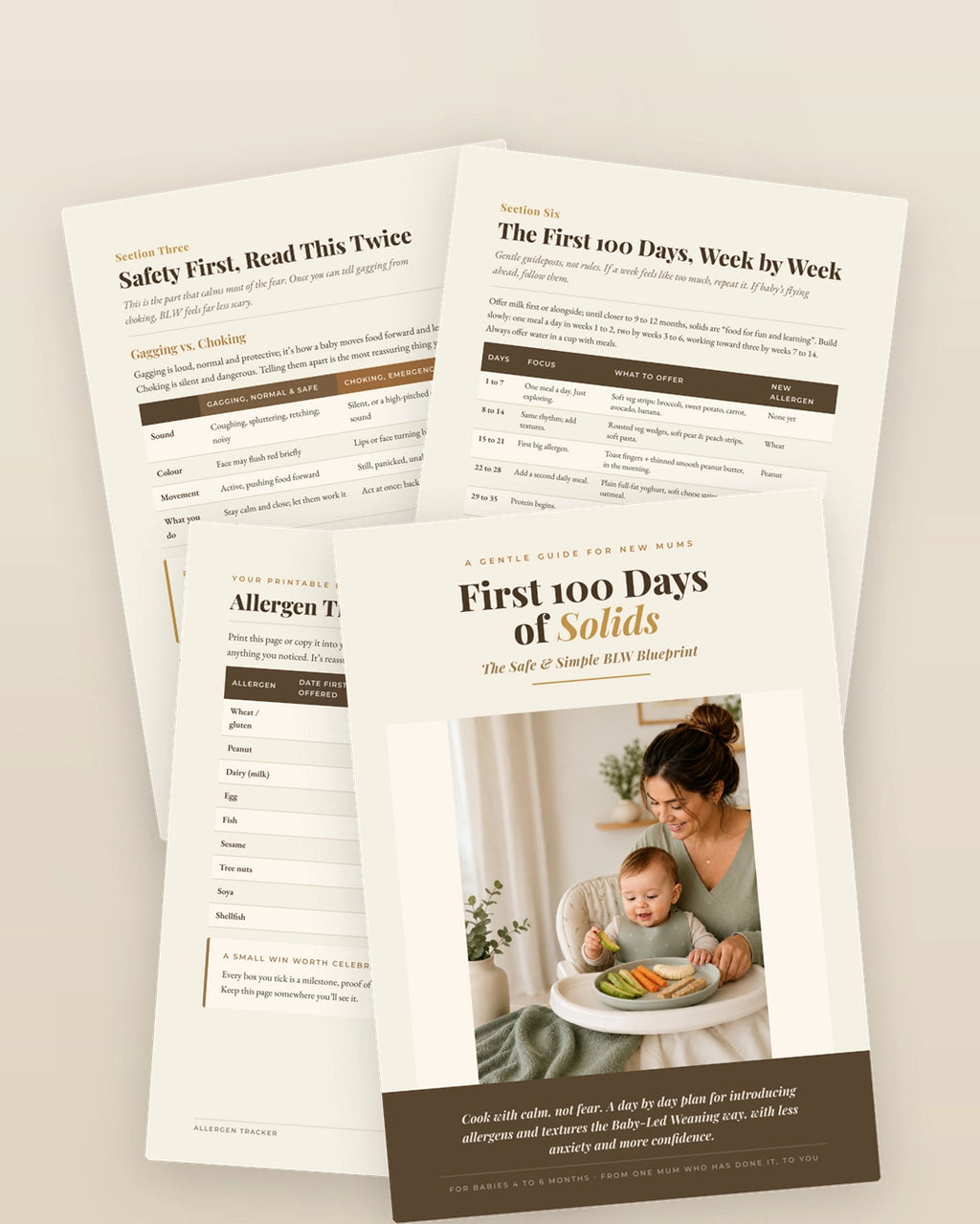 First 100 Days of Solids: The Safe & Simple Baby-Led Weaning (BLW) Blueprint (PDF Guide)