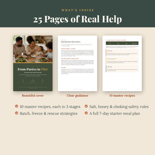 From Purées to Plate: The Multi-Stage Family Meal Guide | Baby, Toddler & Adult Meals from One Pot | Printable PDF